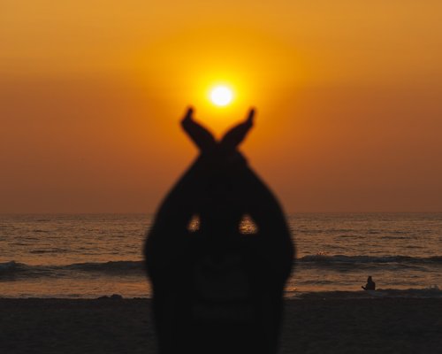 Morning yoga stretch silhouette